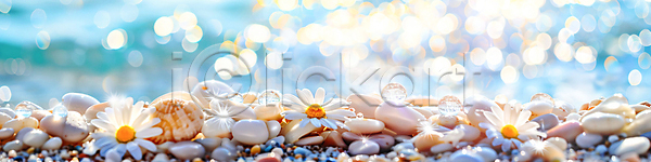 평화 사람없음 JPG 편집이미지 꽃 돌(바위) 보케 여름(계절) 자연 조개 풍경(경치) 해변 햇빛