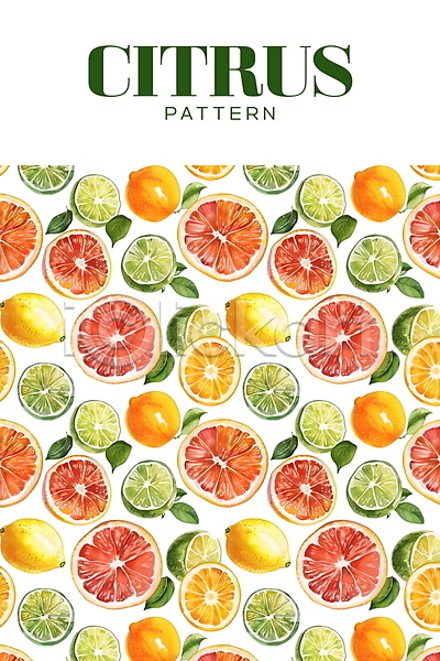 신맛 사람없음 PSD 일러스트 라임 레몬 백그라운드 여름(계절) 열대 오렌지 잎 패턴 흰색