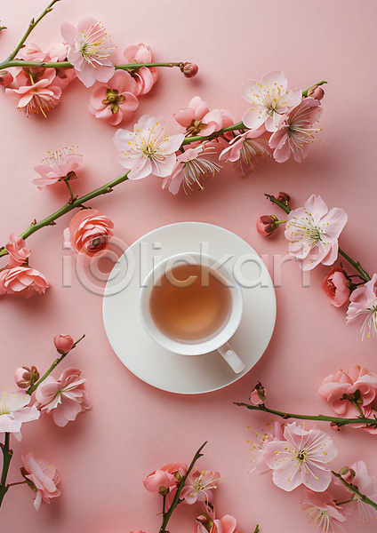 화려 사람없음 JPG 편집이미지 꽃 나뭇가지 백그라운드 분홍색 커피잔 컵받침 프레임