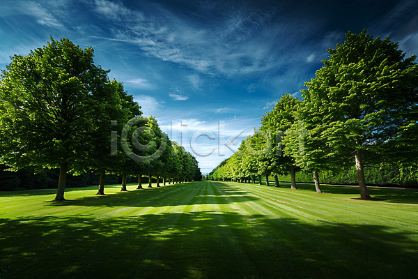 사람없음 JPG 디지털합성 편집이미지 구름(자연) 그림자 나무 야외 자연 초원(자연) 풍경(경치) 하늘 햇빛