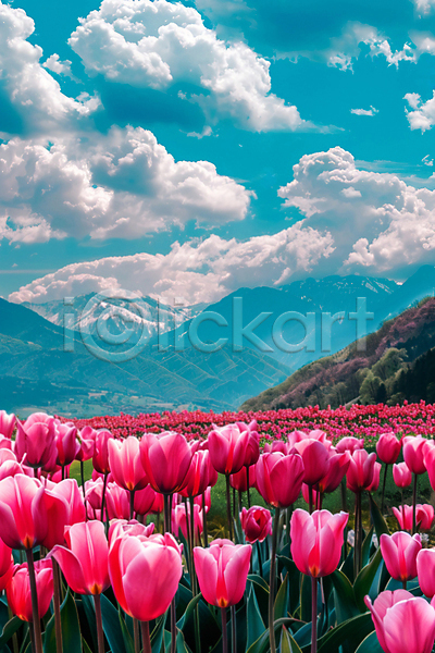 사람없음 JPG 디지털합성 편집이미지 구름(자연) 꽃밭 몽환 산 자연 튤립 풍경(경치) 하늘