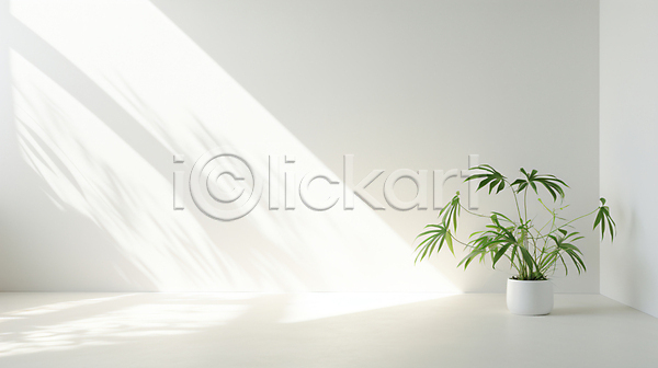 사람없음 JPG 편집이미지 공간 그림자 백그라운드 비어있는 빛 인테리어 카피스페이스 합성 화분 흰색