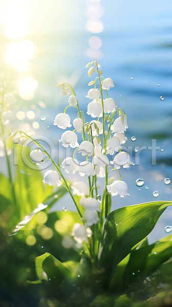 사람없음 JPG 편집이미지 물방울 방울꽃 은방울꽃 풍경(경치) 햇빛 호수