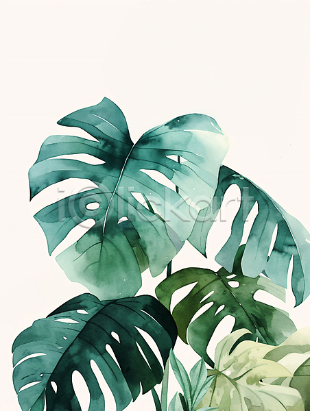 사람없음 JPG 일러스트 나뭇잎 몬스테라 미술 수채화(물감) 여름(계절) 열대 자연 질감 초록색 카피스페이스 트로피컬아트