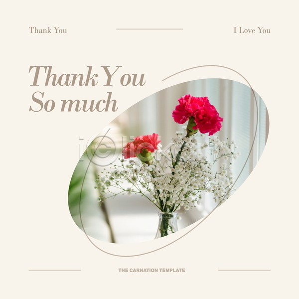 감사 사랑 사람없음 PSD 디지털합성 템플릿 꽃병 백그라운드 베이지색 안개꽃 창가 카네이션 카드(감사) 타이포그라피 편집소스 프레임