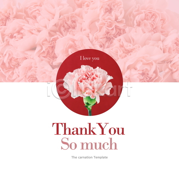감사 사랑 사람없음 PSD 디지털합성 템플릿 꽃다발 백그라운드 분홍색 카네이션 카드(감사) 타이포그라피 편집소스 프레임