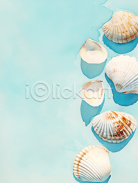 시원함 사람없음 JPG 일러스트 바다 수채화(물감) 여름(계절) 자연 조개 조개껍데기 질감 청량