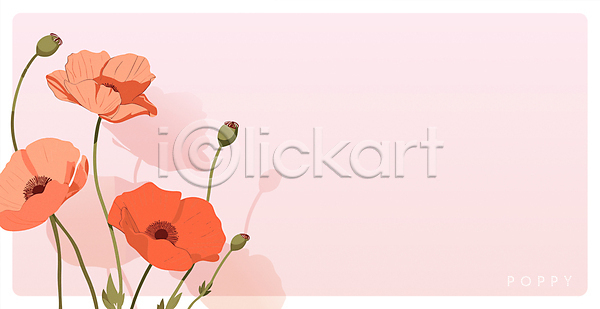 우아함 사람없음 AI(파일형식) 일러스트 백그라운드 봄 분홍색 양귀비 여름(계절) 오브젝트 카드(감사) 카피스페이스 포스터 프레임