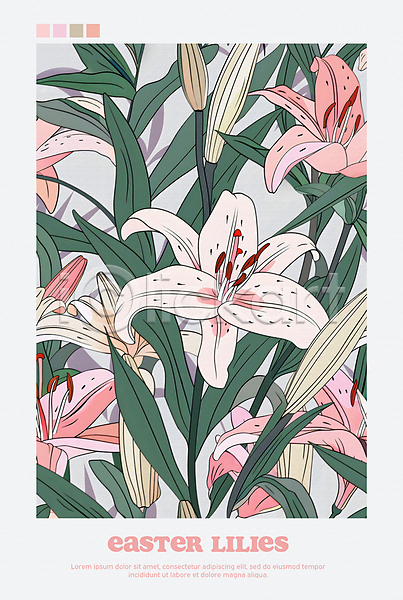 사람없음 PSD 편집이미지 꽃봉오리 백그라운드 백합(꽃) 분홍색 잎 포스터 하늘색
