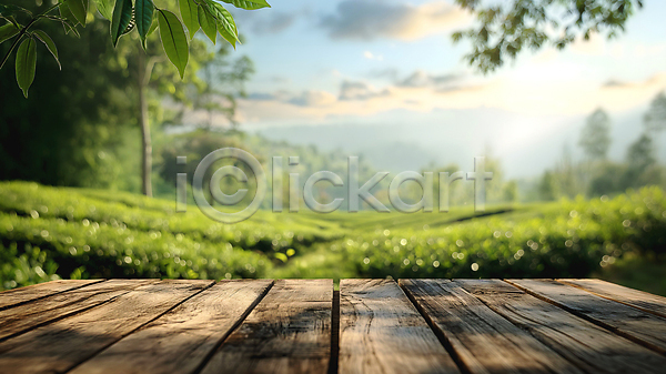 신선 사람없음 JPG 디지털합성 편집이미지 나무 농경지 농장 백그라운드 산 식물 아침 야외 초록색 탁자 편집소스 풍경(경치) 햇빛