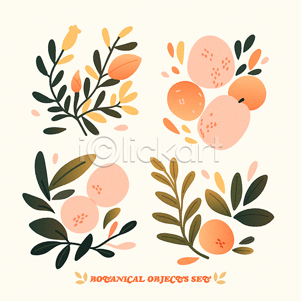 사람없음 AI(파일형식) 일러스트 과일 꽃 나뭇잎 봄 스티커 식물 장식 주황색