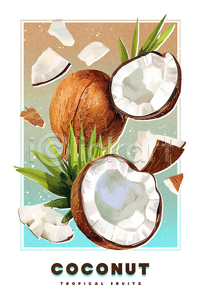 사람없음 PSD 일러스트 갈색 그라데이션 단면 열대과일 열대잎 열매 유화 조각 질감 코코넛 코코넛과육 페인팅 포스터 프레임