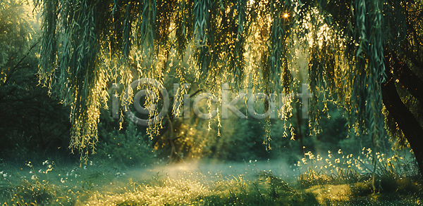 사람없음 JPG 디지털합성 편집이미지 그늘 그림자 나뭇잎 버드나무 여름(계절) 자연 풀(식물) 풍경(경치) 햇빛