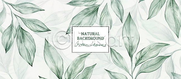 빈티지 사람없음 PSD 편집이미지 가로 백그라운드 식물 잎 자연 초록색 타이포그라피 패턴