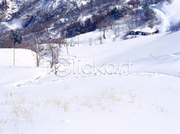 사람없음 JPG 포토 겨울 계절 나무 눈(날씨) 사계절 산 설경 설원 야외 자연 주간 풍경(경치)