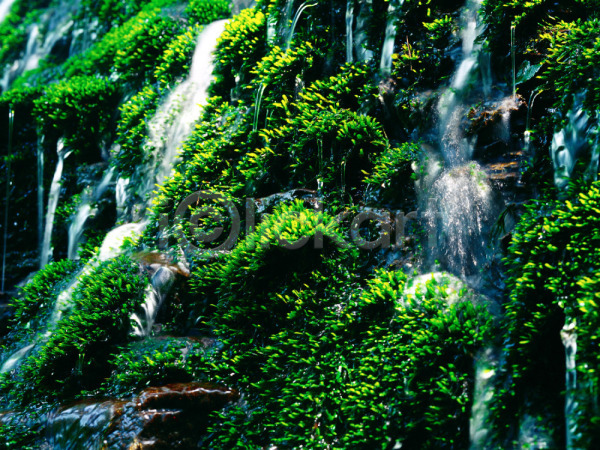 사람없음 JPG 포토 계곡 계절 돌(바위) 물 바위(돌) 사계절 산 야외 여름(계절) 이끼 자연 주간 초록색 폭포 풍경(경치)