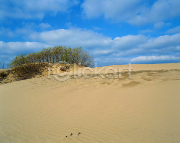 사람없음 JPG 포토 구름(자연) 나무 모래 사막 식물 야외 자연 주간 초록색 풍경(경치) 하늘