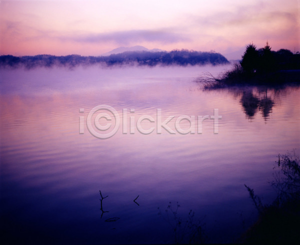 사람없음 JPG 포토 나무 반사 안개 야외 자연 주간 충주호 풍경(경치) 호수