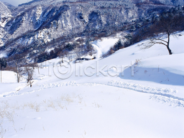 사람없음 JPG 포토 겨울 계절 나무 눈(날씨) 사계절 산 설경 설원 야외 자연 주간 태백 풍경(경치)