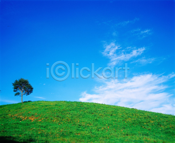 사람없음 JPG 포토 구름(자연) 나무 대관령 배경화면 백그라운드 야외 언덕 자연 잔디 주간 초록색 초원(자연) 풍경(경치) 하늘