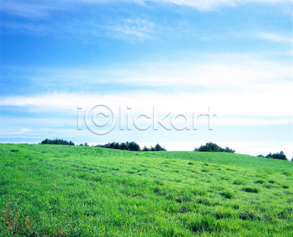 사람없음 JPG 포토 구름(자연) 나무 대관령 야외 자연 잔디 주간 초록색 초원(자연) 풀(식물) 풍경(경치) 하늘