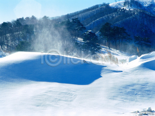 사람없음 JPG 포토 겨울 계절 그림자 나무 눈(날씨) 대관령 사계절 산 설경 설원 야외 자연 주간 초원(자연) 풍경(경치)