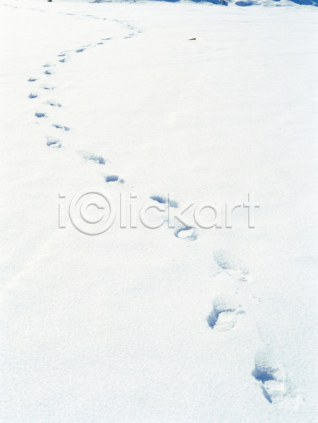 사람없음 JPG 포토 겨울 계절 길 눈(날씨) 발자국 배경화면 백그라운드 사계절 설원 야외 자연 주간 풍경(경치)