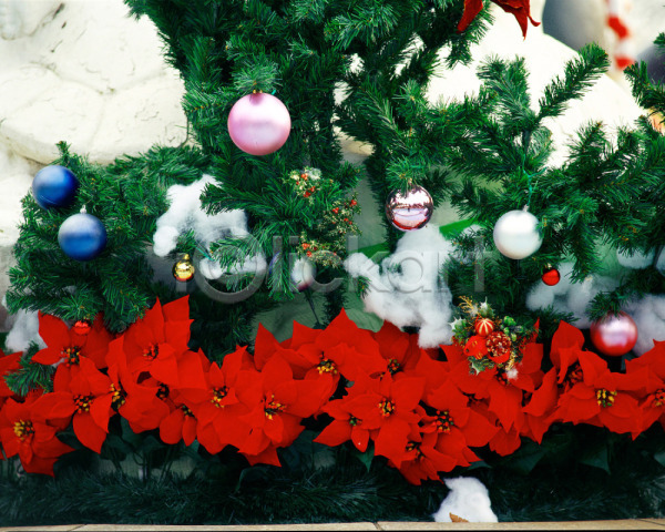 사람없음 JPG 포토 기념일 꽃 방울(장식품) 빨간색 야외 오브젝트 장식 주간 초록색 크리스마스 크리스마스용품 크리스마스장식 크리스마스트리