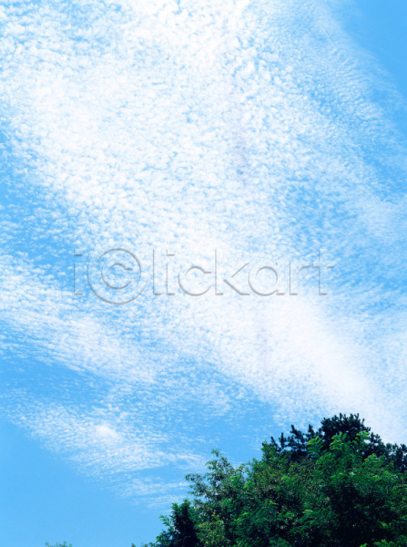사람없음 JPG 포토 구름(자연) 나무 식물 야외 자연 주간 초록색 풍경(경치) 하늘 한그루