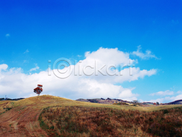 사람없음 JPG 포토 구름(자연) 나무 대관령 야외 언덕 자연 잔디 주간 초원(자연) 파란색 풀(식물) 풍경(경치) 하늘 흰색