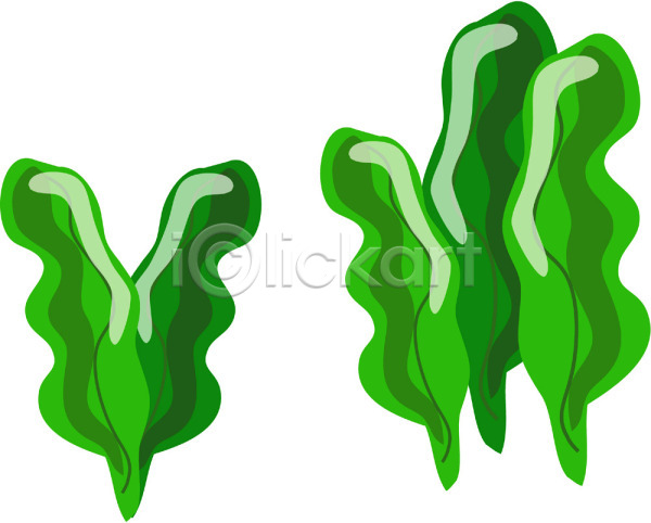 사람없음 EPS 일러스트 미역 바다동물 식물 초록색 컬러 클립아트 해양식물 해조류 해초류