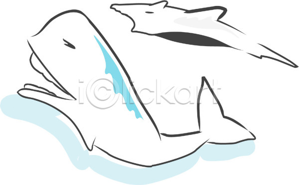 사람없음 EPS 일러스트 고래 돌고래 동물 두마리 바다동물 상어 어류 척추동물 클립아트 포유류