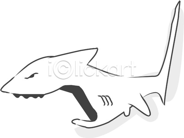 사람없음 EPS 일러스트 동물 바다동물 상어 어류 척추동물 클립아트 한마리