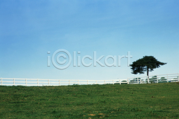 사람없음 JPG 포토 나무 목장 식물 야외 언덕 울타리 자연 주간 초록색 초원(자연) 축산업 풍경(경치) 하늘 한그루