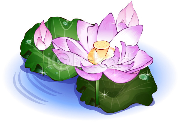 사람없음 EPS 아이콘 꽃 부처님오신날 불교 식물 여름꽃 연꽃(꽃) 이미지다이어리 자연 한국