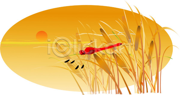 사람없음 EPS 일러스트 가을(계절) 가을배경 계절 곤충 백그라운드 사계절 야외 자연 자연현상 잠자리 절지류 클립아트 풀잎 풍경(경치)