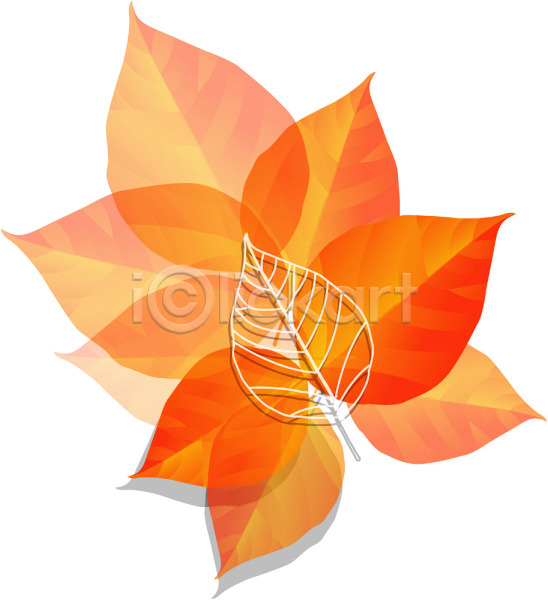사람없음 EPS 아이콘 가을(계절) 계절 나뭇잎 낙엽 단풍 사계절 식물 잎 자연
