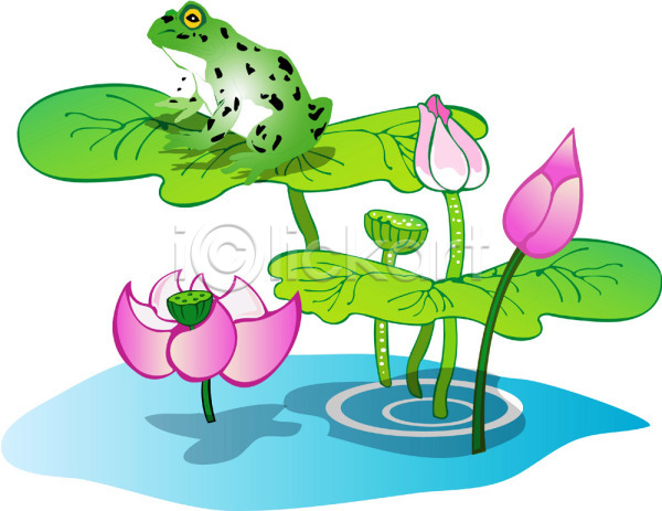 사람없음 EPS 일러스트 개구리 계절 꽃 백그라운드 식물 야외 여름(계절) 여름꽃 연꽃(꽃) 연못 자연 클립아트