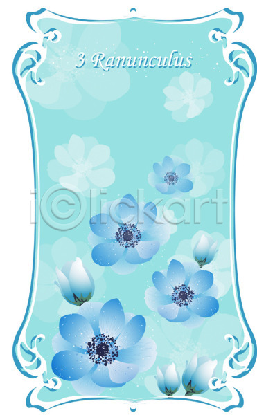 사람없음 EPS 일러스트 3월 꽃 라넌큘러스 미나리아재비 백그라운드 보라색 봄꽃 식물 자연 컬러 탄생화 파란색