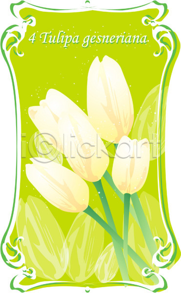 사람없음 EPS 일러스트 4월 꽃 백그라운드 봄꽃 식물 자연 컬러 탄생화 튤립 흰색