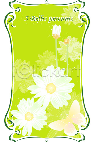 사람없음 EPS 일러스트 5월 꽃 데이지 백그라운드 식물 여름꽃 자연 컬러 탄생화 흰색