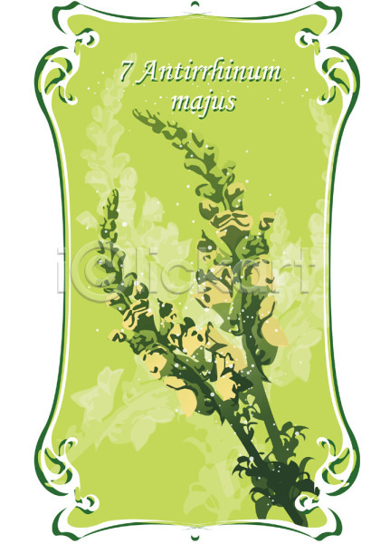사람없음 EPS 일러스트 7월 꽃 백그라운드 식물 여름꽃 자연 초록색 컬러 탄생화