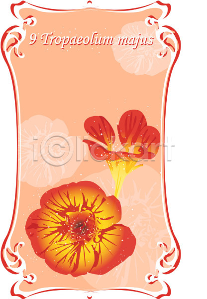 사람없음 EPS 일러스트 9월 가을꽃 꽃 백그라운드 식물 자연 주황색 진홍색 컬러 탄생화 한련화