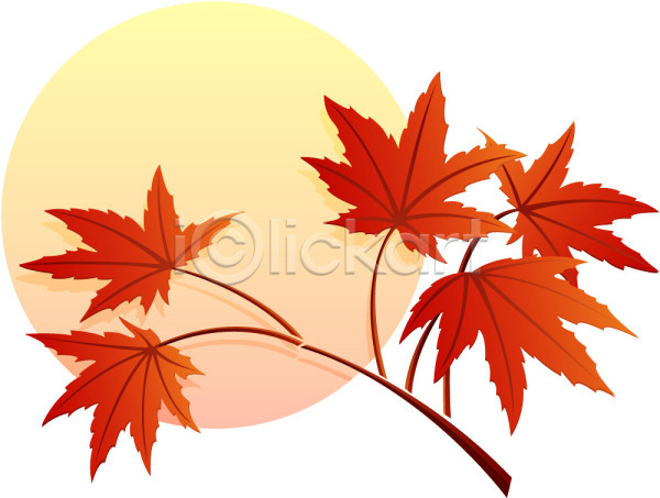 사람없음 EPS 아이콘 가을(계절) 계절 나무 나뭇잎 낙엽 단풍 단풍나무 명절 사계절 식물 잎 자연 추석 한국