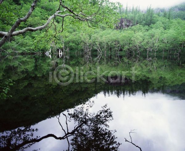사람없음 JPG 포토 강 나무 백두산 산 야외 여러그루 자연 주간 풍경(경치) 호수