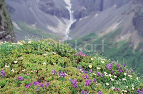 사람없음 JPG 포토 꽃 백두산 산 야외 자연 주간 풍경(경치) 하늘