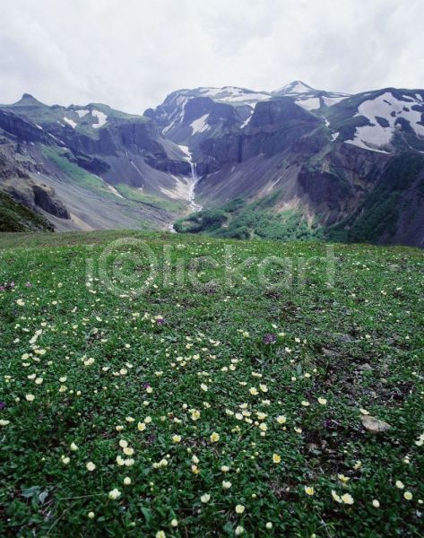 사람없음 JPG 포토 꽃 두메양귀비 백두산 산 야외 자연 주간 풍경(경치)