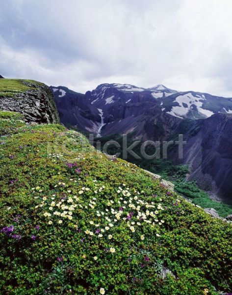 사람없음 JPG 포토 꽃 백두산 산 야외 자연 주간 풍경(경치) 하늘