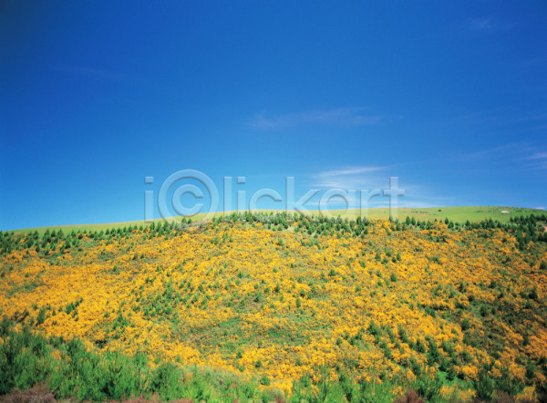 사람없음 JPG 포토 구름(자연) 꽃밭 나무 배경화면 백그라운드 산 식물 야외 언덕 자연 주간 풍경(경치) 하늘