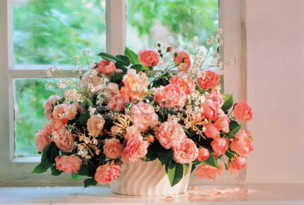 사람없음 JPG 포토 꽃 꽃꽂이 꽃바구니 꽃병 식물 인테리어 장식 창문